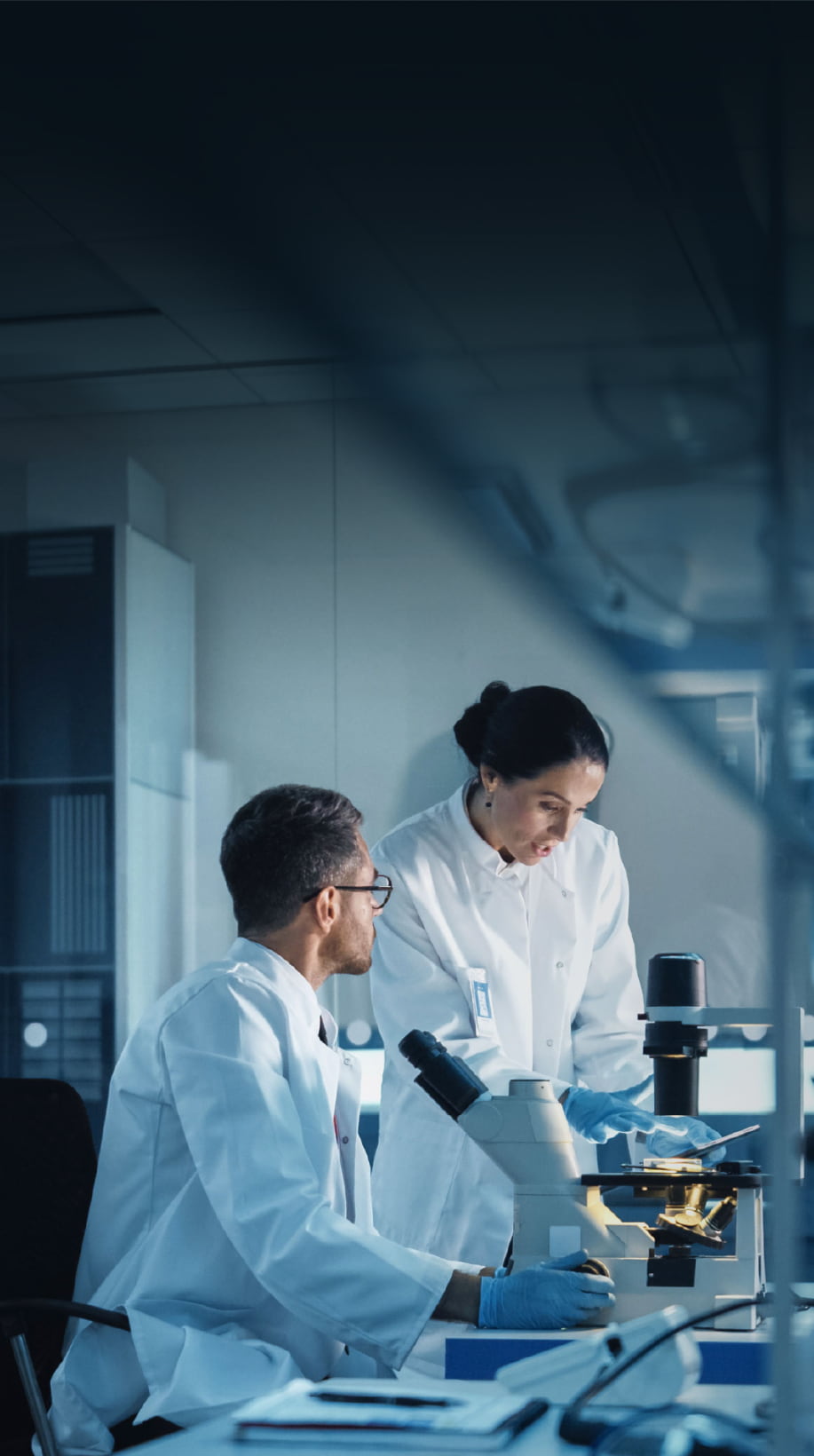 banner quienes somos